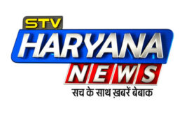 STV Haryana News