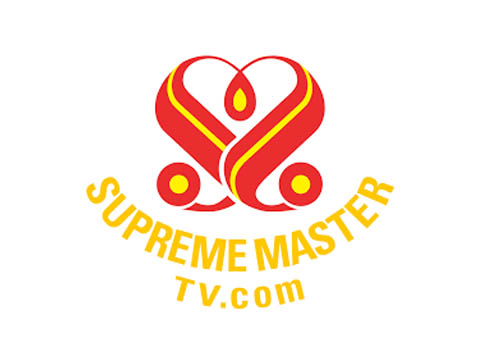 Supreme Master TV Live