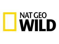 Read more about the article National Geographic Wild